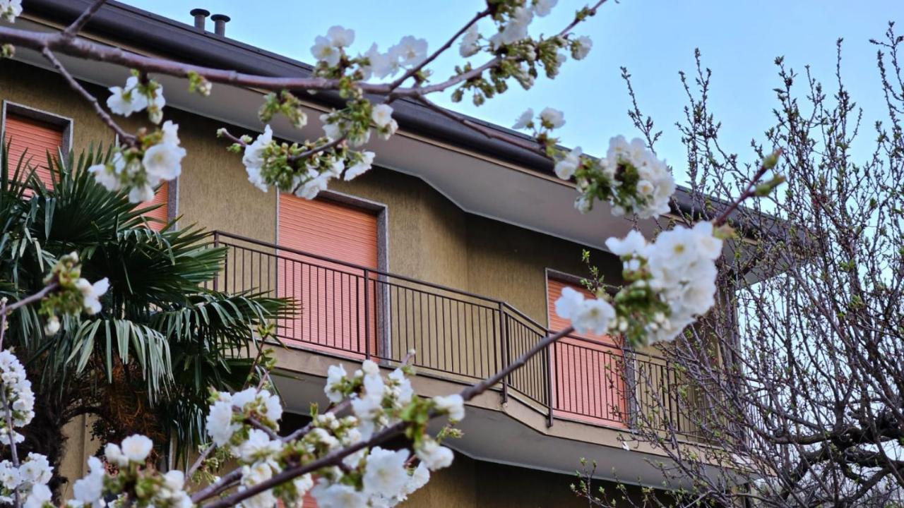 Appartamento L'Airone Cenerino Canzo Exterior foto